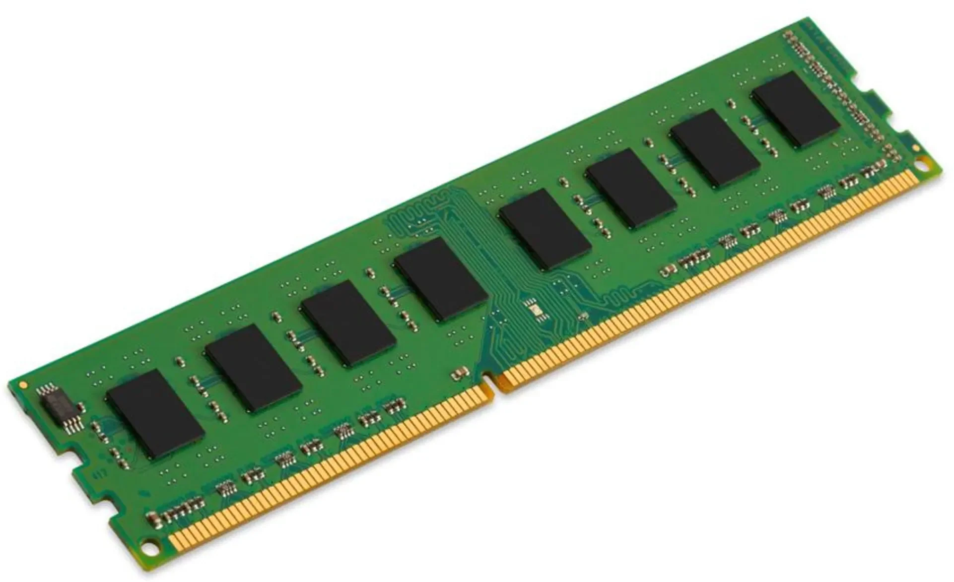 Kingston KCP316ND8/8 8 GB (1 x 8 GB) DDR3-1600 CL11 Memory