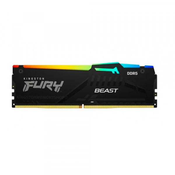 Kingston FURY Beast RGB 8 GB (1 x 8 GB) DDR5-5600 CL40 Memory