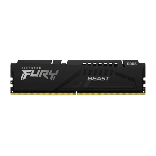 Kingston FURY Beast 32 GB (1 x 32 GB) DDR5-5600 CL36 Memory