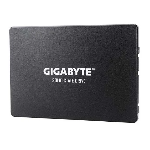 Gigabyte GP-GSTFS31100TNTD 1 TB 2.5"